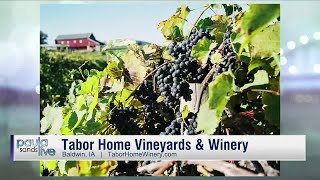 Tabor Home Vineyard & Winery