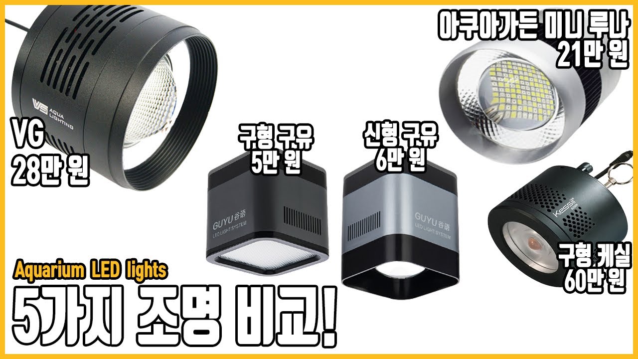 5만원부터 60만원까지?! 어항에 설치한 5가지 스팟 조명 비교!!  [애니몰로TV]