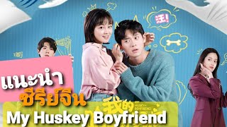 แนะนำ|ซีรีย์จีน My Huskey Boyfriend  我的哈士奇男友ฮัคกี้แฟนบอยของฉัน@series1423