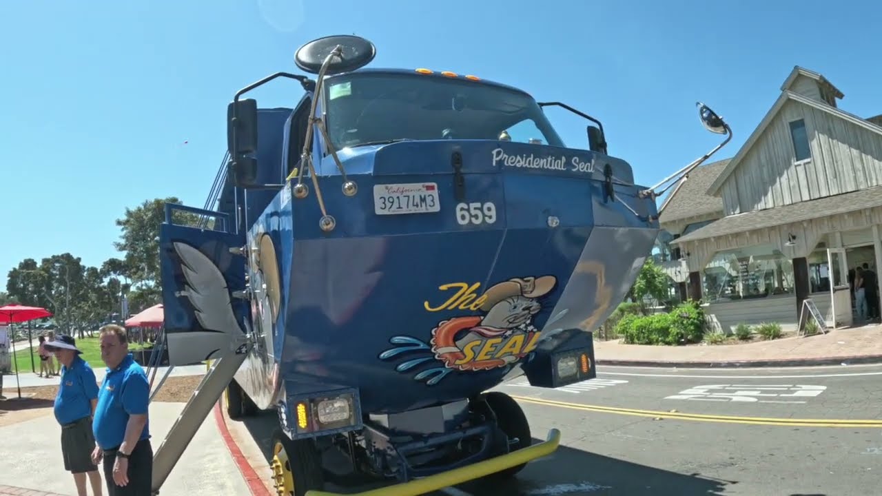 Это лучшее приключение в Сан-Диего? — Экскурсия по наблюдению за тюленями 