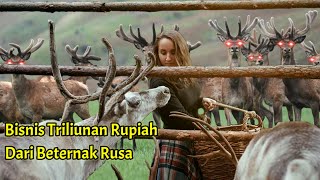 Bisnis Triliunan Rupiah Budidaya Dan Pemrosesan Tanduk Rusa Di Selandia Baru