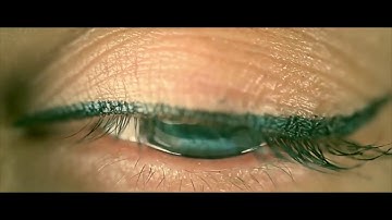 Ceva Animal Health - Together Beyond Animal Health