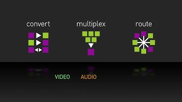 BroaMan Introduction