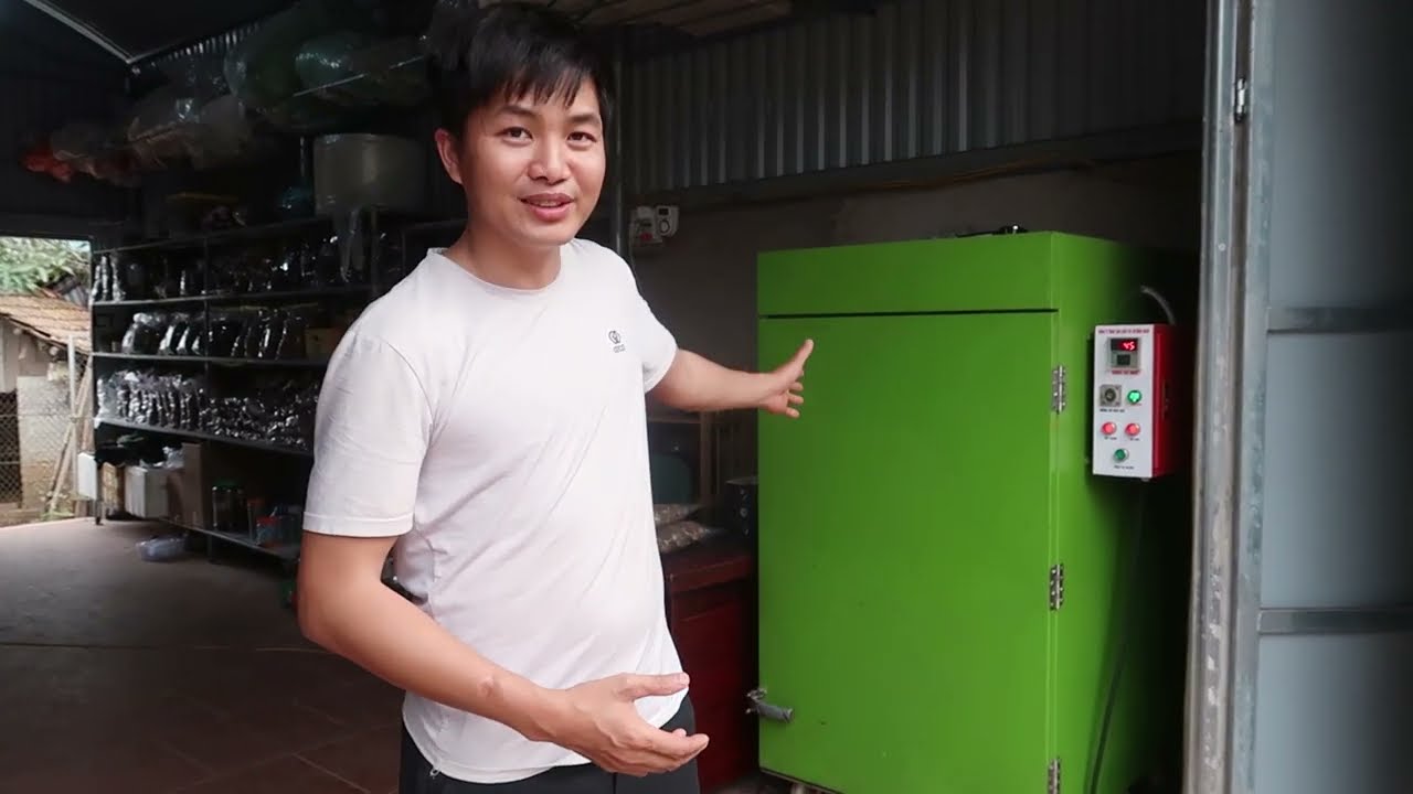 Ngâm sâm đương quy tươi - Bí quyết chăm sóc sức khỏe từ thiên nhiên