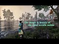 The magic & beauty of the elder scrolls online - It`s okay to walk alone