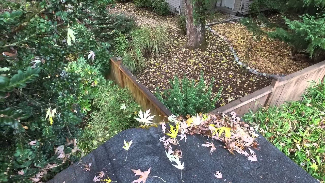 video phone beyonce mp3 Blowing leaves off roof with drone