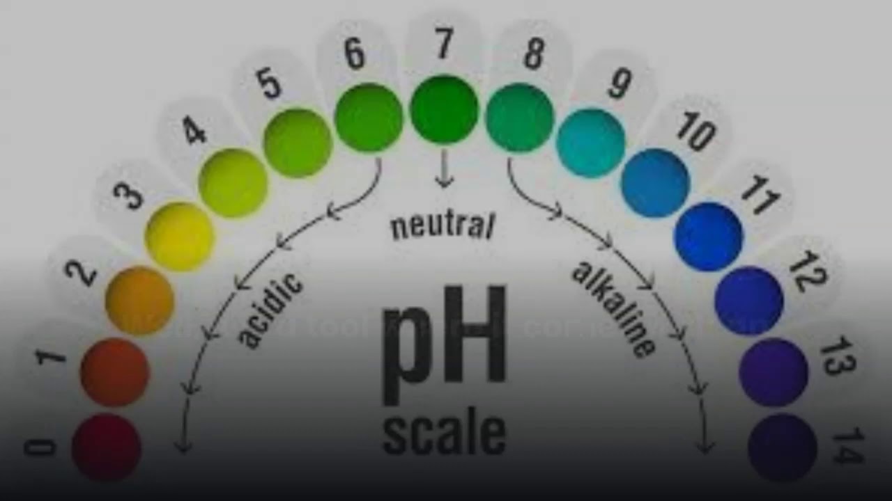 What Is Feminine PH Strips? - YouTube