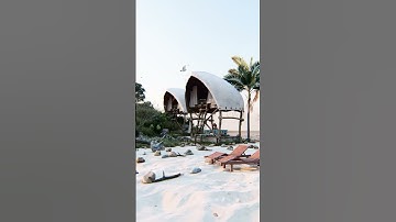 Lumion render video beach animation