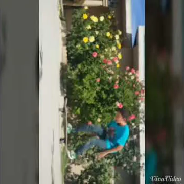 My first kickflip sexchange