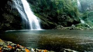Розслабляючі звуки водоспаду 🌿Спокійна природа для сну, навчання та зняття стресу.