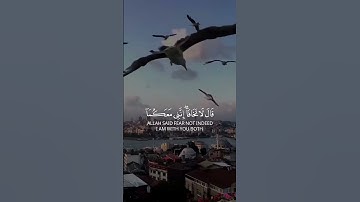 #اكسبلور #لايك #القرآن_الكريم تلاوه رائعه