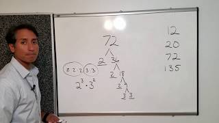 Prime Factorization - Practical Math Series