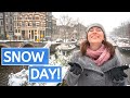 MAGICAL SNOW IN AMSTERDAM // A snowy Amsterdam winter wonderland