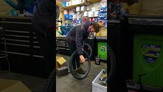 Pivot Trail 429 Custom Build