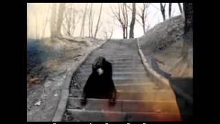 Sür Beni̇ Sürgününden - Arzu Karadoğan.wmv