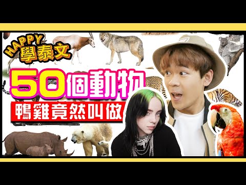 50個動物的泰文名！如何分辨"馬" 跟"狗" 【HAPPY學泰文】超強系列