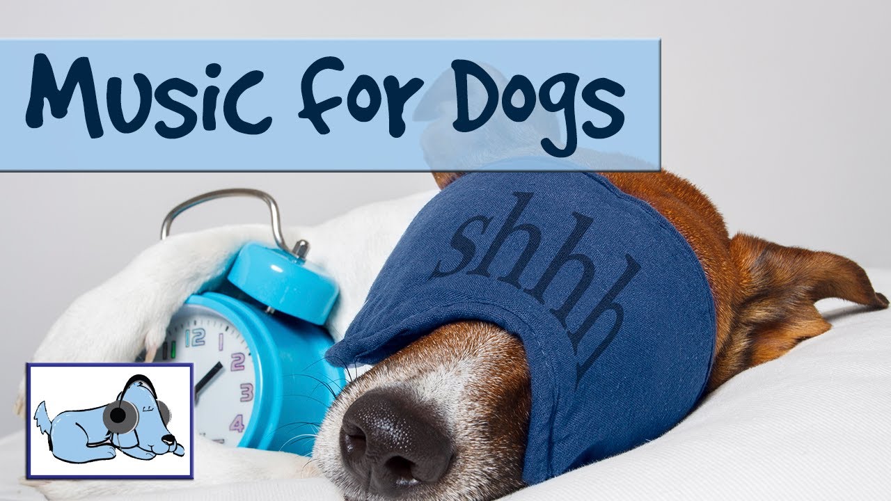 music to make dogs go to sleep