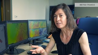 TEMPÉRATURE RESSENTIE, DE QUOI PARLE-T-ON ?