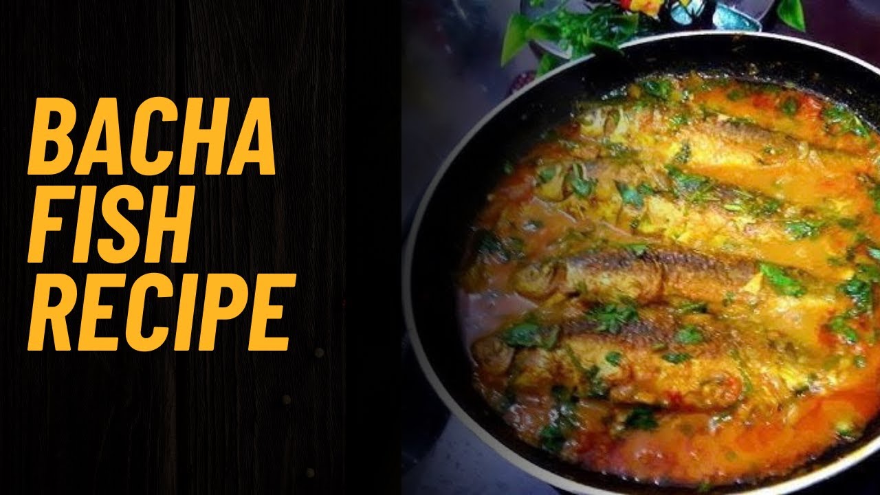 বাছা মাছ ভুনা রেসিপি | মাছ রান্নার রেসিপি | River Fresh Bacha Fish ...