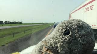 Squeaky in a wind turbine field