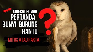 Download Lagu Mitos atau Fakta? Keberuntungan Ketika Pertanda Burung Hantu Bunyi Dekat Rumah MP3