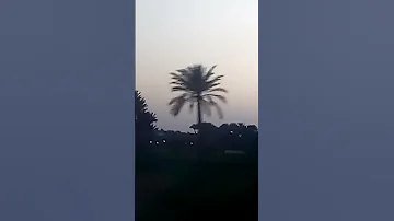 كفك يادنيا علم عالجته وعالقفه 
