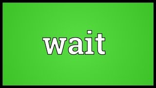 Wait Meaning