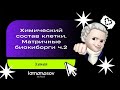 Химический состав клетки. Матричные биокиборги 2 | ЕГЭ 2021 по биологии | Lomonosov School