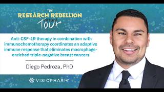 Anti-CSF-1R therapy in combination with immunochemotherapy