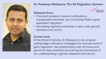 The 3D Regulatory Genome: Dr. Pradeepa Madapura