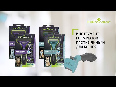 Инструмент FURminator против линьки для кошек: как использовать