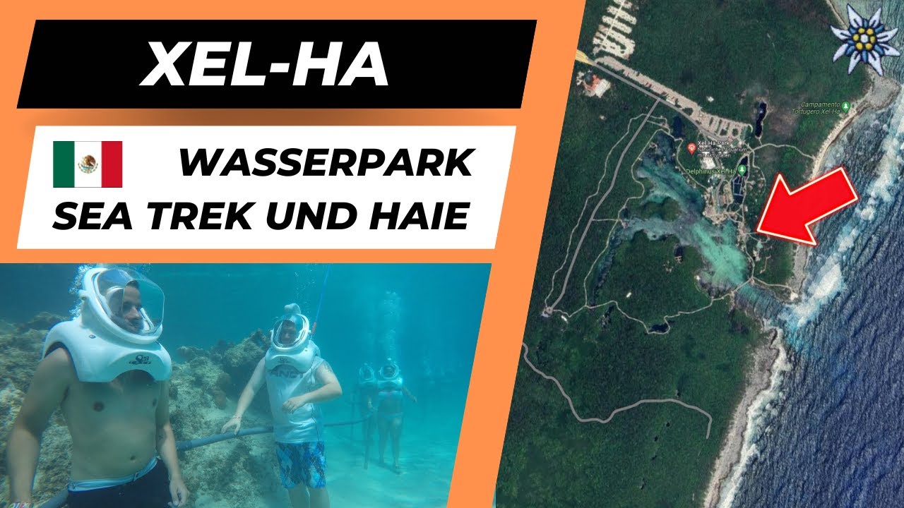 XelHa, Water Park in Mexico Sea Trek, Sharks, Snorkel YouTube