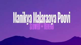 Manikya Malaraaya Poovi | Slowed | Shan Rahman