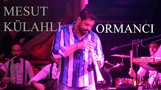 Mesut Külahlı - Ormancı Resimi