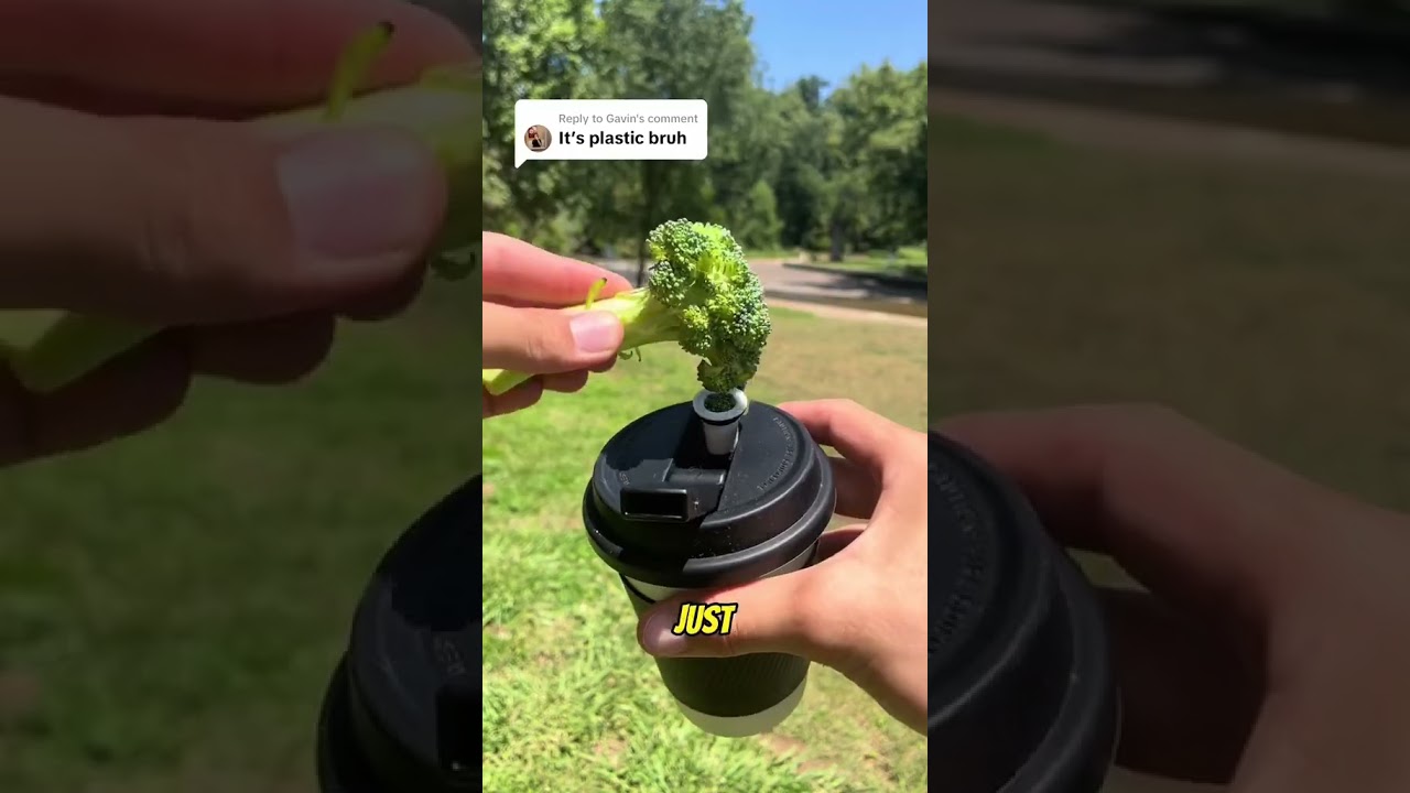 Worlds First Coffee Cup Bong!