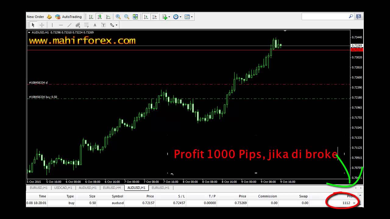 trik profit forex tanpa indikator