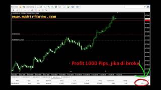 Trading Forex Tanpa Indikator (no Indicators) | Cara Lock Profit Dengan Trailing Stop Secara Benar