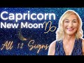 Capricorn new moon  all signs  exciting new beginning