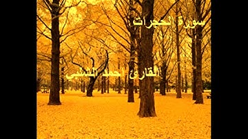 سورة الحجرات للقارئ احمد الشلبي
