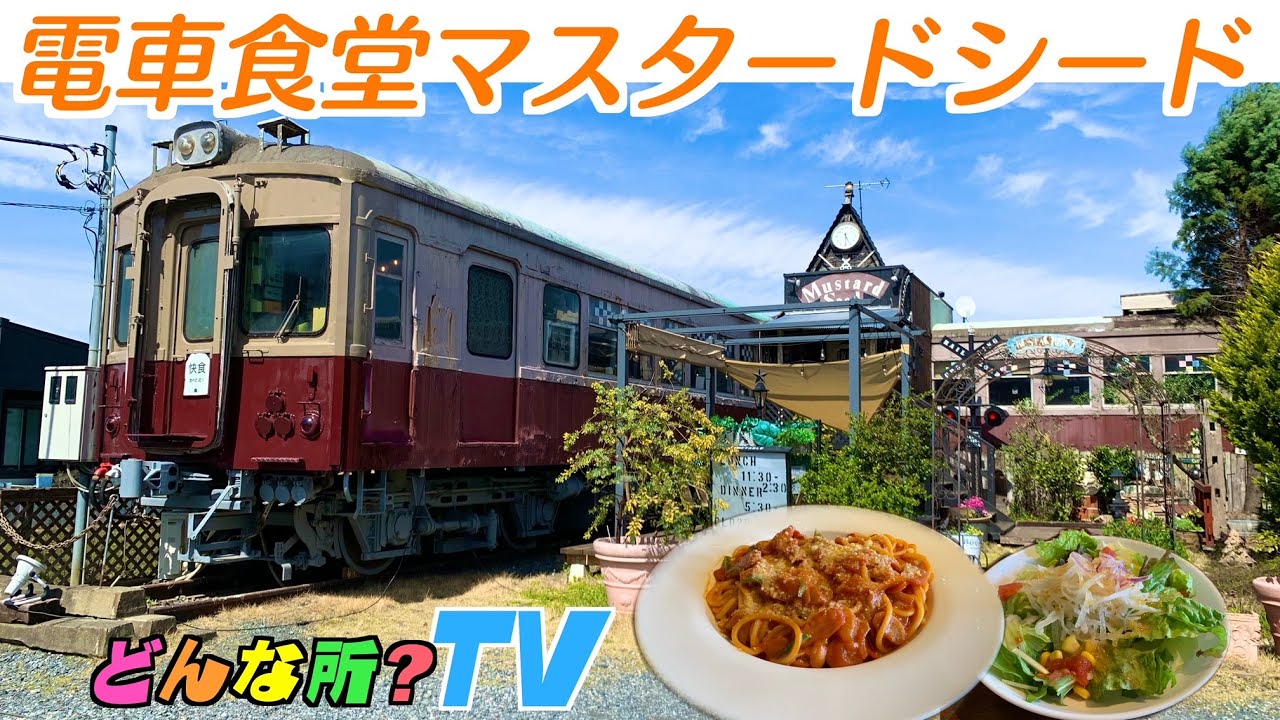 マスタード シード 電車 食堂