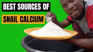 How to Make Snail Calcium with different Calcium Sources #giantafricanlandsnail #snailcare