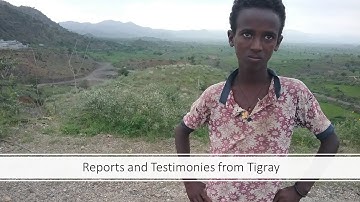 Testimonies From Tigray 4 - Listen to the atrocities and war crimes committed by Eritrean Soldiers