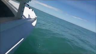 Matt Layden Paradox ventures outside Lyttelton Harbour