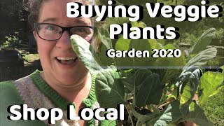 Buying Local Veggie Plants | Hudak Farm | Garden 2020