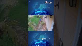 Marido Pula De Telhado Para Ajudar Esposa