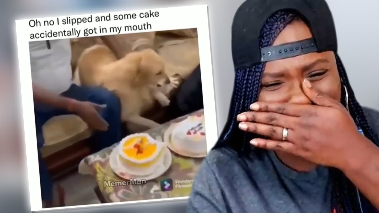 Reacting to MemerMan Memes