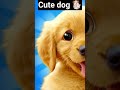 Cute dog  viral shortbaby of dogs enjoy the baby time 