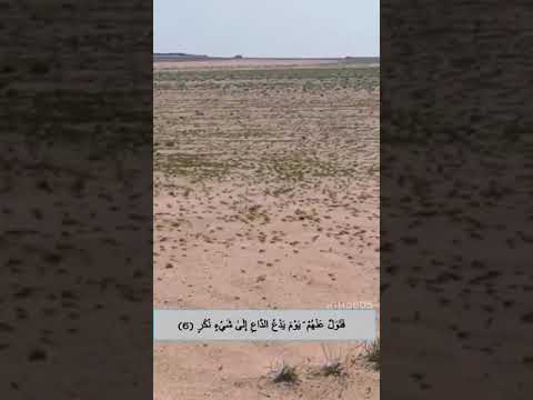 فتول عنهم يوم يدع الداع إلى شي نكر