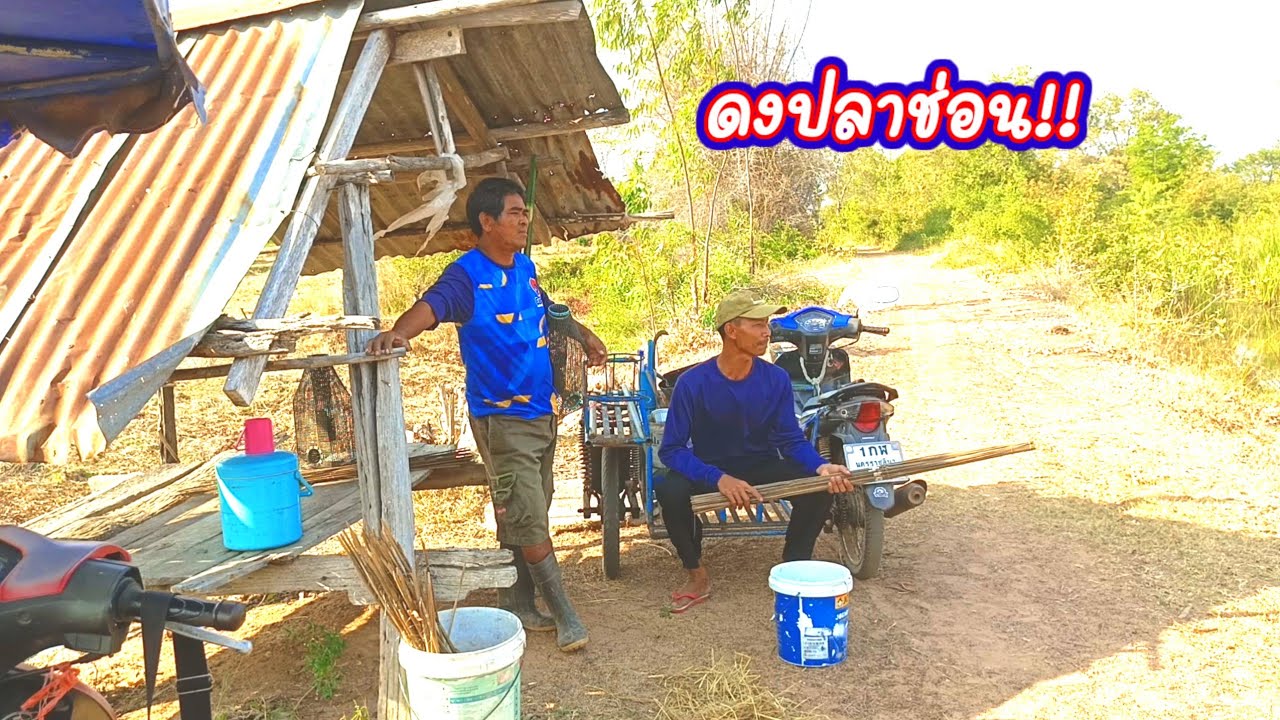 ดงปลาช่อนชัดๆ เดือดแต่ใส่ยังไม่เสร็จ ใส่เบ็ดเหยื่อแมงจีซอน คลองนี้เด็ดจริงๆ!!