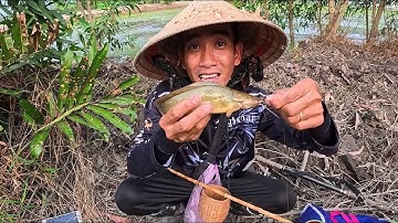  Buổi trưa đi câu cá Rô đồng | Cần trúc & lưỡi câu Trứng Rùa made của Nhật ! EP60